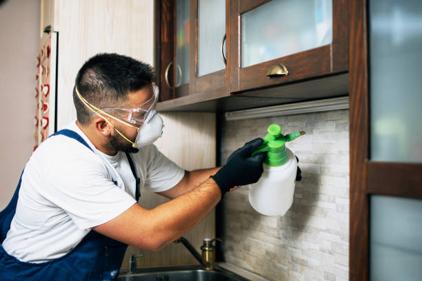 Best Pest Control Near Me in Topeka, IN