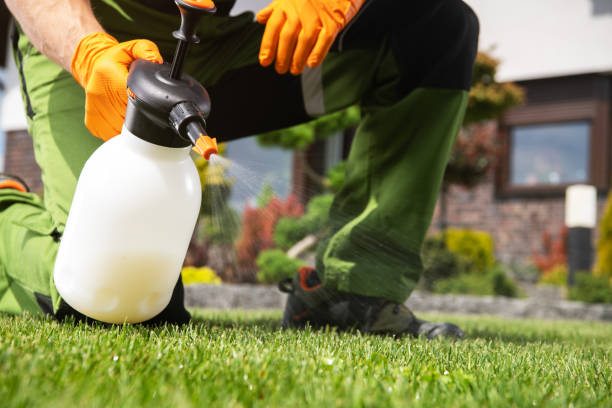 Best Residential Pest Control  in Topeka, IN