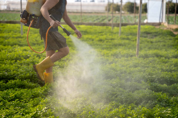 Best Pest Removal Services  in Topeka, IN