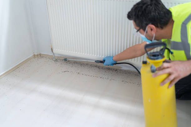Best Pest Prevention Services  in Topeka, IN